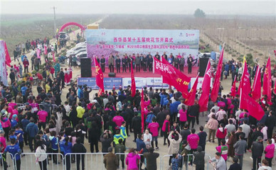 西华县第十五届桃花节盛大开幕 2500人马拉松开跑点燃春日激情